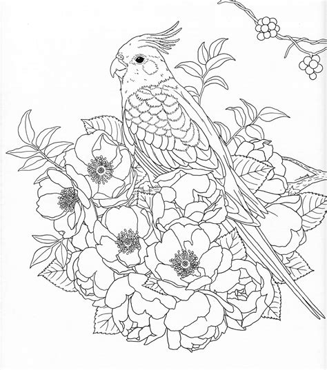 Nature Coloring Pages For Adults Free Printable