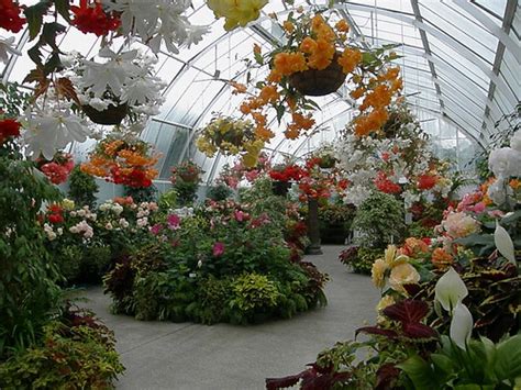 Botanic Gardens Ch Ch Floral Displays Bill Polley Flickr