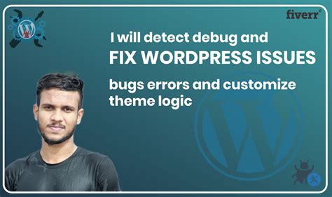 I Will Fix Or Debug Wordpress Website Bug Issues Errors For Seoclerks