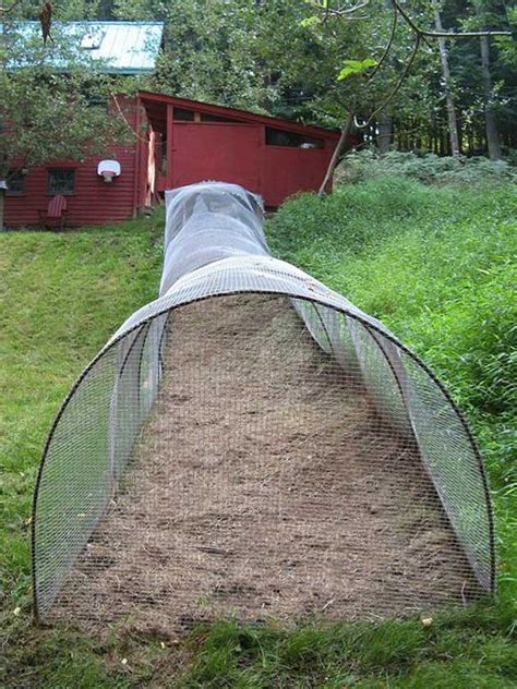 Build A Diy Chicken Tunnel In Your Backyard Homedesigninspired