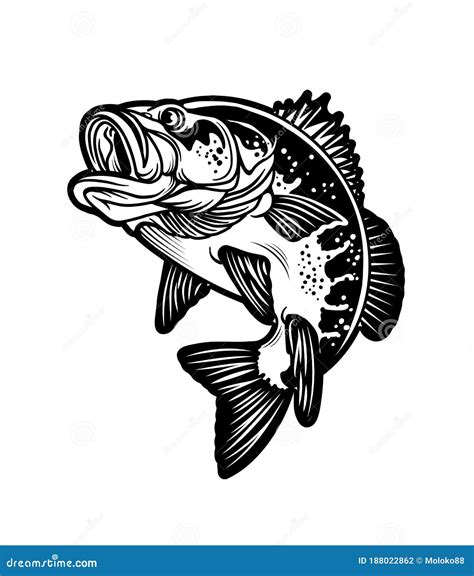 Largemouth Bass Vector Illustration 29037482