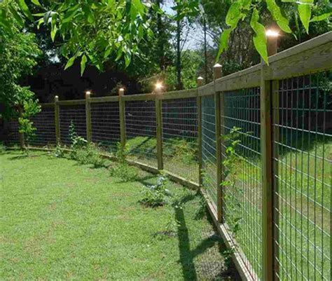 25 Best Cheap Backyard Fencing Ideas For Dogs 3 Backyard Fences Diy