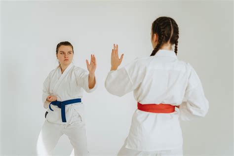 El Karate Do Y El Aprendizaje Mental Polideportes
