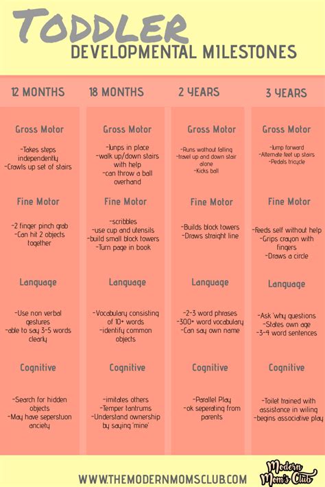 Ted 28 Month Developmental Milestone Chart