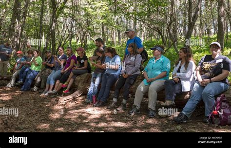 Salamander Study Barse The Exploring Earth Science Teacher Workshop