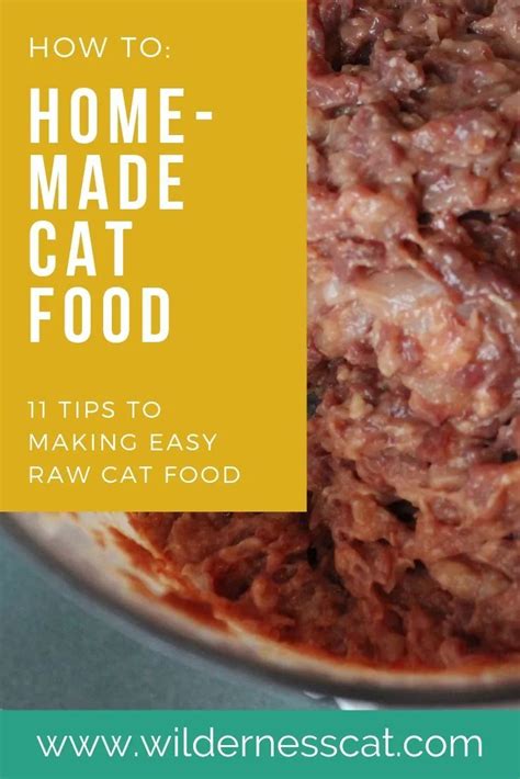 Feline Nutrition S Easy Homemade Cat Food Recipe Artofit