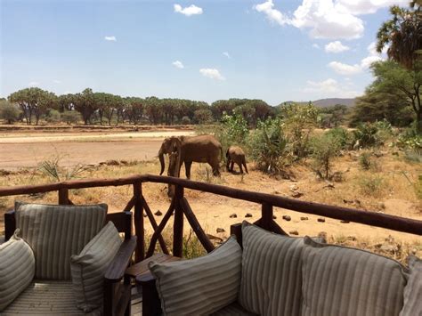 Top Luxury Safari Lodges In Kenya That Are Worth A Visit Drink Tea