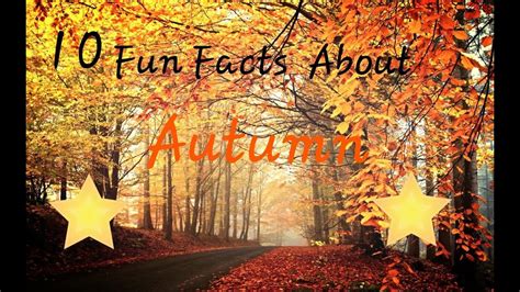 10 Fun Facts About Autumn Youtube