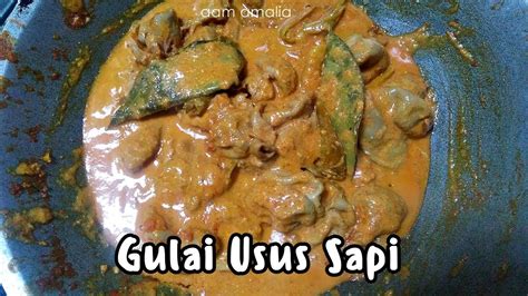 Resep gulai usus sapi padang bahan: Resep Gulai Usus Sapi Padang - Cara Memasak Tambusu ala ...