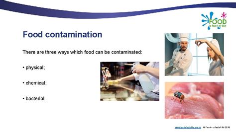 Food Contamination And Spoilage Foodafactoflife Org Uk