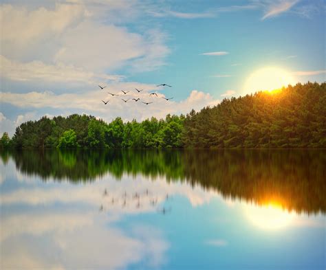 Beautiful Lake Birds Flying Hd Nature 4k Wallpapers Images