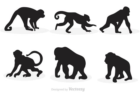 Monkey Silhouette Vectors Download Free Vector Art Stock Graphics