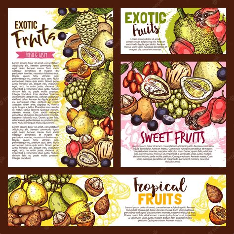 Premium Vector Exotic Tropical Fruits Vector Sketch
