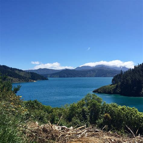 Queen Charlotte Sound Picton All You Need To Know Before You Go