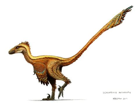 Deinonychus Color Dinosaur Illustration Dinosaur Prehistoric Creatures