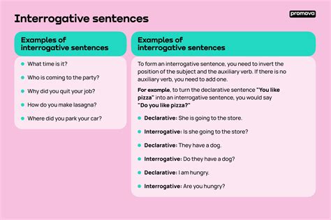 Interrogative Sentence Promova Grammar