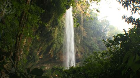 Waterfall And Jungle Sounds Relaxing Tropical Rainforest