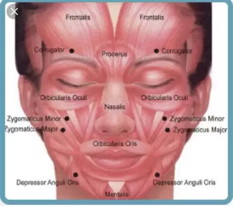When you understand the main causes of the development of forehead wrinkles. Why are there wrinkles on my forehead? - Quora