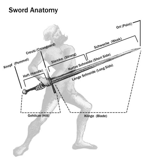 Sword Anatomy Armadura Medieval Swords And Daggers Knives And Swords