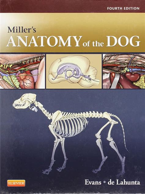 Millers Anatomy Of The Dog Uk Evans Phd Howard E De