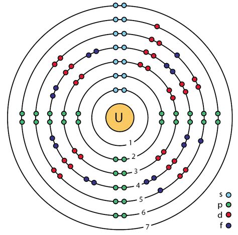 File92 Uranium U Enhanced Bohr Modelpng Wikimedia Commons