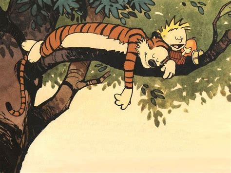 Die Besten 25 Calvin Und Hobbes Ideen Auf Pinterest Calvin And