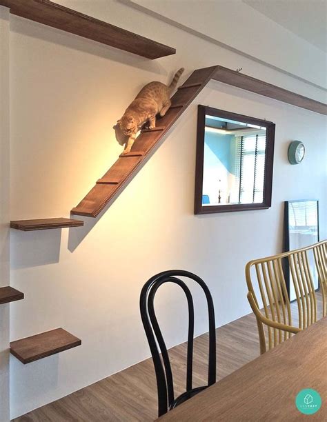 I have to replace their cat climbing trees every few months. The 25+ best Cat walkway ideas on Pinterest | Cat ...