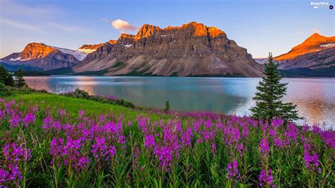 Informed rvers have rated 18 campgrounds near banff national park, alberta. Province of Alberta, Canada, Banff National Park, Crowfoot ...