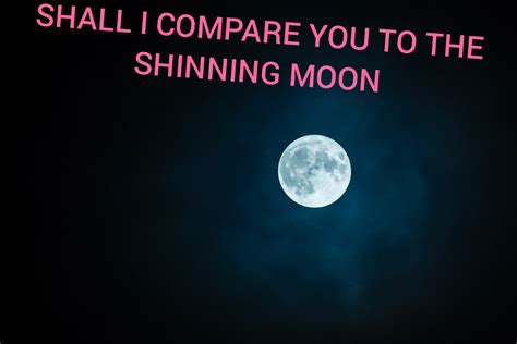 Shall I Compare You To The Shining Moon Letterpile