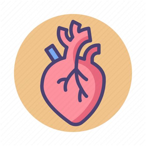 Cardiac Cardiovascular Heart Organ Icon Download On Iconfinder