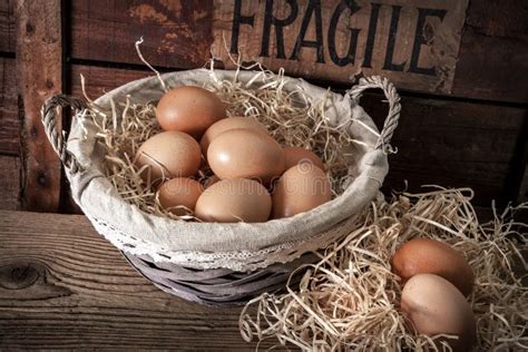Fresh Organic Farm Eggs Stock Image Image Of Albumen 169880955