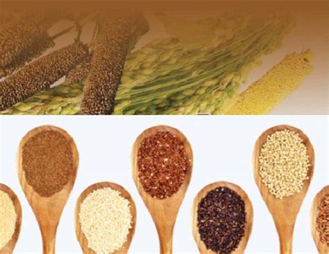 What Are Millets Types Of Millets Health Benefits Millet