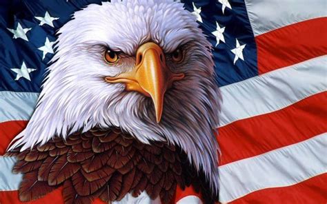 How The American Bald Eagle Became The Nation’s Emblem The Flag Shirt