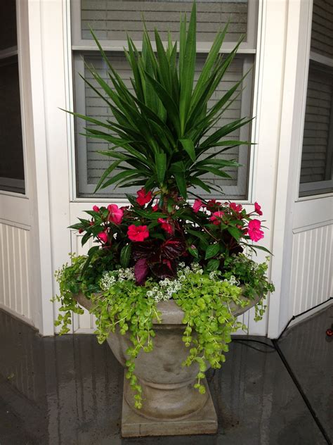 Pin By Alison Murphy On Seasonal Planter Porch Flowers Container