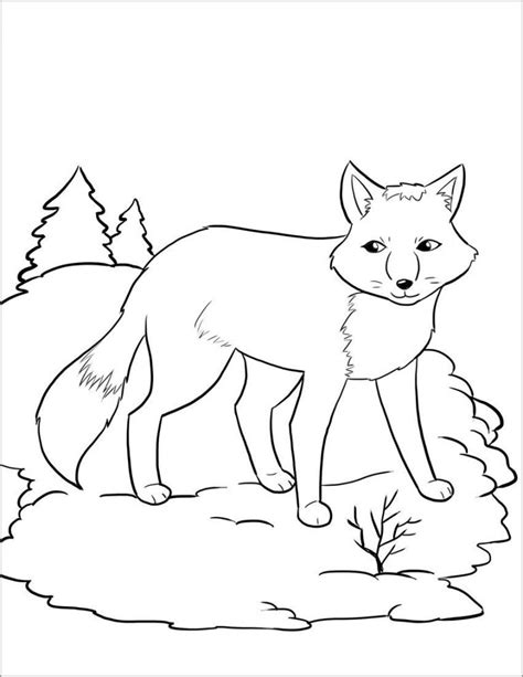 Arctic Fox Coloring Page Coloringbay
