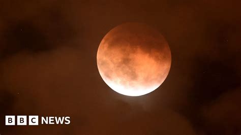 Views Of The Supermoon From Around The World Bbc News