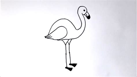 Kako Nacrtati Flamingosa Youtube