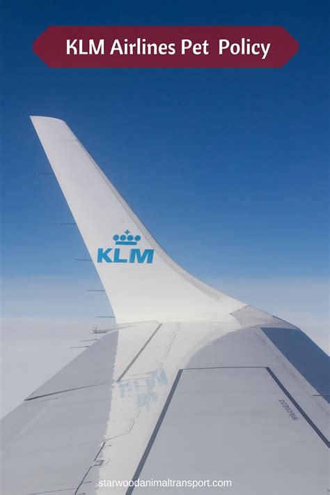 You'll find american airlines's pet policy for travel in the cabin and baggage area here. KLM Airlines Pet Policy