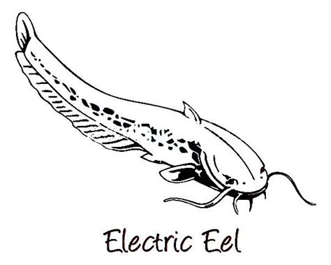 Login to add to favorites. Electric Eel Image Coloring Page | Eel images, Electric ...