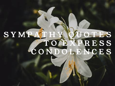 Sympathy & Condolence Quotes For Loss - Luvzilla