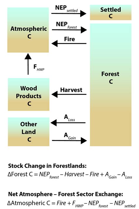 Forests Second State Of The Carbon Cycle Report