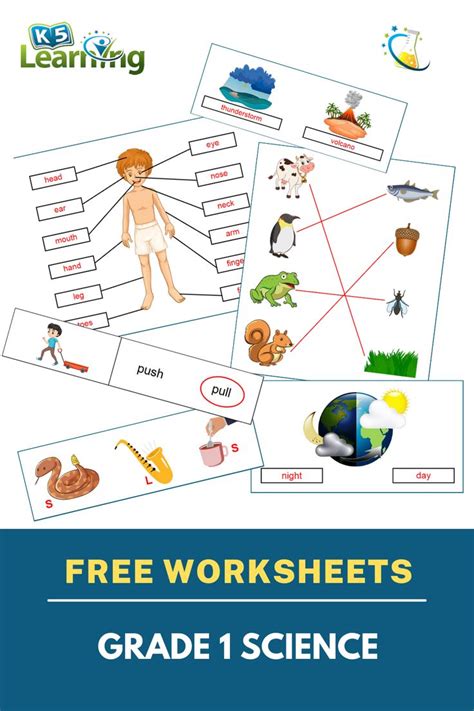 Free Printable Grade 1 Science Worksheets