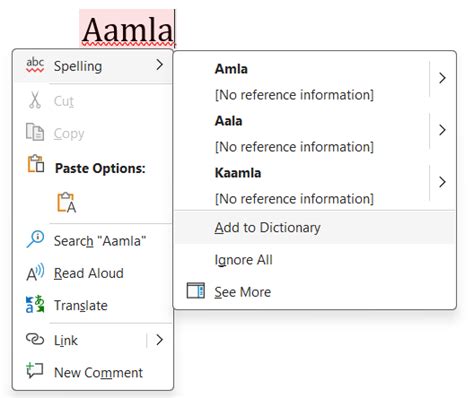 Mastering Spell Check How To Add Words To The Dictionary In Ms Word