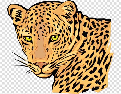 Terrestrial Animal Wildlife Clip Art Head African Leopard Clipart