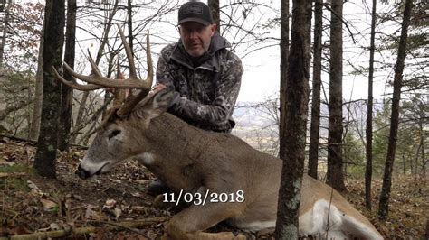Proven Whitetail Rut Hunting Setup And Success Youtube