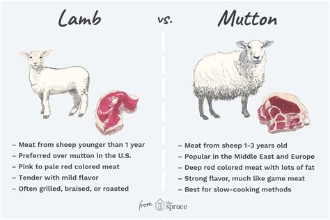 Learn The Difference Between Lamb And Mutton Lamb Mutton Meat Types