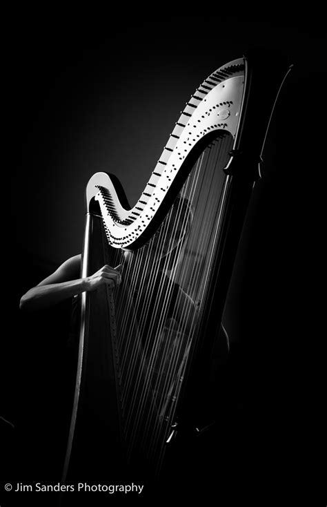 Harpist Musician Photography Musician Portraits Music Photography
