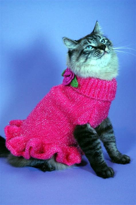 78 Best Cats In Pink Images On Pinterest Funny Kitties Kitty Cats
