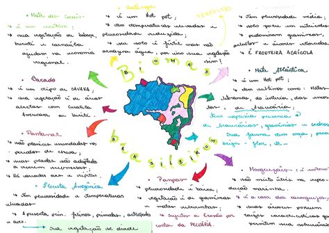 Observe O Mapa Mental Dos Biomas Brasileiros E Responda As Atividades