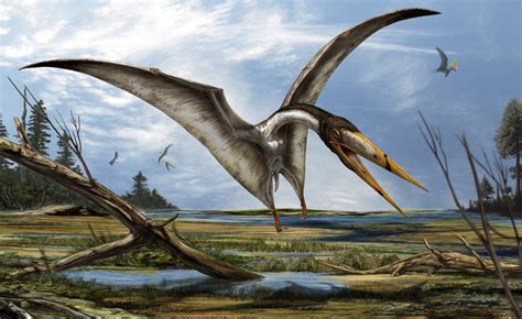 An Artists Impression Of The Azhdarchids Pterosaur Alanqa Saharica